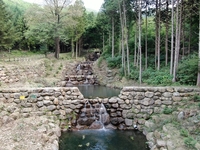 전남도, 주민참여형 사방댐 대상지 발굴 온힘