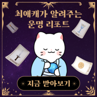 “마루에게 운세를 물어봐” 최애 웹툰 캐릭터가 전하는 AI 사주·타로 어때?