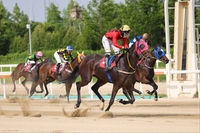 “21년 기다림, 한 방에 터졌다” 보령라이트퀸, 김길중 조교사에 첫 대상 트로피