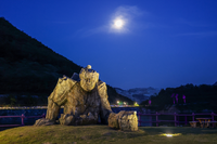 동해시 <무릉별유천지 라벤더 축제> 14일부터 개막!