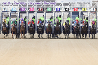 “야 너두 마주(馬主)될 수 있어” 한국마사회, 서러브레드 마주 모집