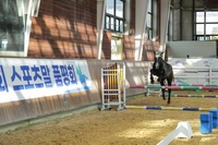‘한 걸음, 한 도약’ 한국마사회, 국산 승용마 경쟁력 높인다
