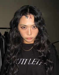 [전문]허니제이 “저게 춤이야 XX지” 논란…“표현의 무게 인식”