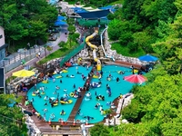 강진군,  7월1일 ‘강진 반값여행’ 돌아온다