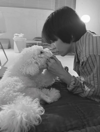 송혜교, 반려견과 애틋한 재회... “보고 싶었어 나의 루비”