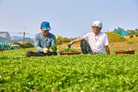김상호, 13년차 농부 클래스 증명…관매도 이사 ‘大성공’, 윤계상·박지환도 합류