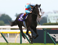 ‘세계 1위→명예의 전당’ 이쿠이녹스, 90% 압도적 지지…日 경마 최고 영예 품었다