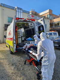 홍천소방서, 벌 쏘임 등 여름철 야외활동 주의 당부