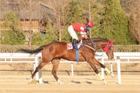2025년 상반기 경마 결산…감동과 기록의 반년, 한국 경마에 새 역사를 쓰다
