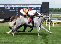 한국마사회 보유 씨수말 ‘닉스고’ 자마 데뷔전서 우승