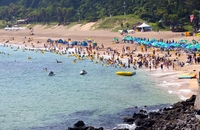 제주도에서 꼭 찾아야 하는 4곳은? 중문색달-삼양-협재해수욕장-강정천유원지!