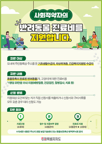강원자치도, 여름 휴가철 ‘동물등록제·사회적약자 진료비 지원사업’ 집중 홍보