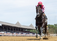 한국마사회 씨수말 닉스고 자마 ‘EWING’ TDN 라이징스타 선정