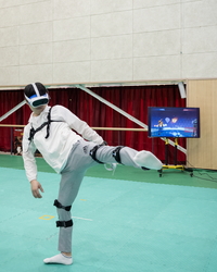 버추얼 태권도 자격 과정, 아시아 최초 한국서 개최…15개국 참가