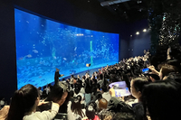 “K-레저의 우수성” 롯데월드 아쿠아리움 하노이, 누적 100만 방문객 돌파