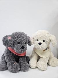 전남도, ‘AI 반려돌봄 로봇’ 스마트 사회서비스사업 선정