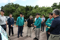 여중협 행정부지사, 강릉 안반데기 고랭지 배추 현장 점검