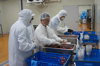 육동한 춘천시장, 초등돌봄교실 과일간식 작업 현장 방문