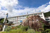 [스포츠 도시, 인제군]7월 무더위도 막지 못한 스포츠 열기