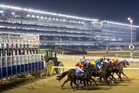 무더위 속 안전 최우선…한국마사회 여름철 경주로 관리 총력