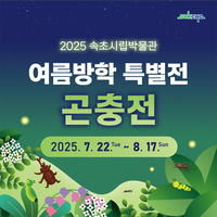 속초시립박물관, 여름방학 맞이 곤충 특별전 개최