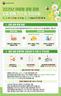 강원자치도 “여름철 꿀벌 응애 확산 막는다”