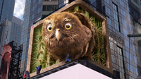 귀엽지만 강렬한 메시지…LG전자, 美 타임스스퀘어서 ‘피그미 올빼미’ 하소연 전해