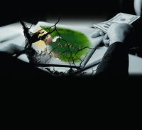 “상대적 박탈감 크다” KPGA 특전 부여에 아마·프로 골퍼들 분노했다 [SS이슈]