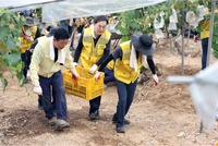 김동연, 3일 오후 7시 비상 1단계  ‘만전’ 당부