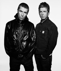 내한 앞둔 오아시스, 공연 중 팬 추락사 ‘충격’