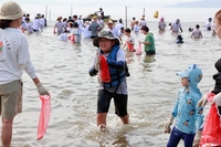 보성군,  ‘감쪽같은 보성전어축제’...8월 22일 개막
