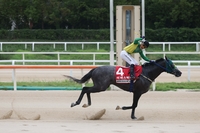 석세스백파, 최강 글로벌히트 꺾고 KRA컵 클래식(G2) 우승