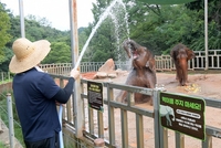 광주시, ‘동물원 여름나기 행사’ 개최