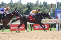 마사회 씨수말 닉스고 자마 유잉, 美 사라토가 우승! 해외종축개발사업 성과 가시화