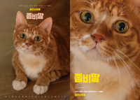 귀여움이 세상을 구한다…‘좀비딸’ 애용이, 스페셜 포스터 공개