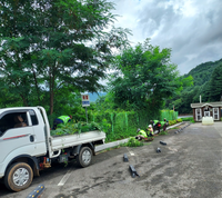 평창군 방림면, 여름철 마을 가꾸기 사업으로 쾌적한 환경 조성