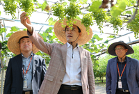 김진태 지사 “농가 일손은 덜고 소득은 높이는 현장 중심 연구에 힘 써 달라”