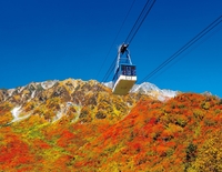 “일본의 알프스에서 즐기는 가을 단풍” 롯데관광개발, 추석연휴 도야마 직항 전세기 상품 출시