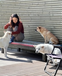 “잘가라 우리 석삼이”…이효리, 암말기 반려견과 이별