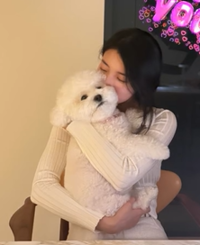 수지-송혜교, 또 데이트 인증…‘청순 절친 케미’