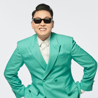 ‘흠뻑쇼’ 1300만원치 꿀꺽?…싸이 콘서트 80장 수수혐의, 현직 소방경 경찰 조사