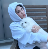 누가 강아지야? 송혜교, 반려견과 귀여운 투샷 (ft.강민경 반응) [★SNS]
