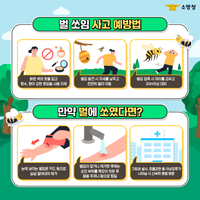 홍천소방서, 여름철 벌집 출동 급증...안전수칙 준수 당부