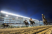 무더위 잊게할 여름 축제와 함께 야간경마 찾아온다