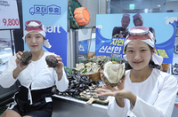 이마트, 거제 해녀가 잡은 프리미엄 수산물 단독 판매