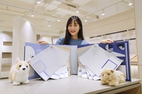 국민바닥재 ‘장판’의 귀환…KCC글라스 등, 기능 및 디자인 혁신으로 재도약