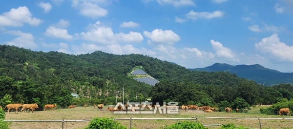 전남도, 저탄소 축산물 인증 3년 연속 전국 최다