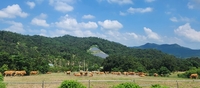 전남도, 저탄소 축산물 인증 3년 연속 전국 최다