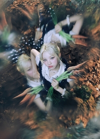 ‘이상한 나라의’ 우기, 이것이 원더랜드