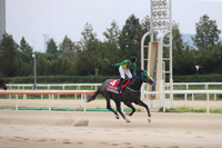 세계가 주목! 2025 OBS 코리아컵&코리아스프린트(IG3)서 3개국 대격돌